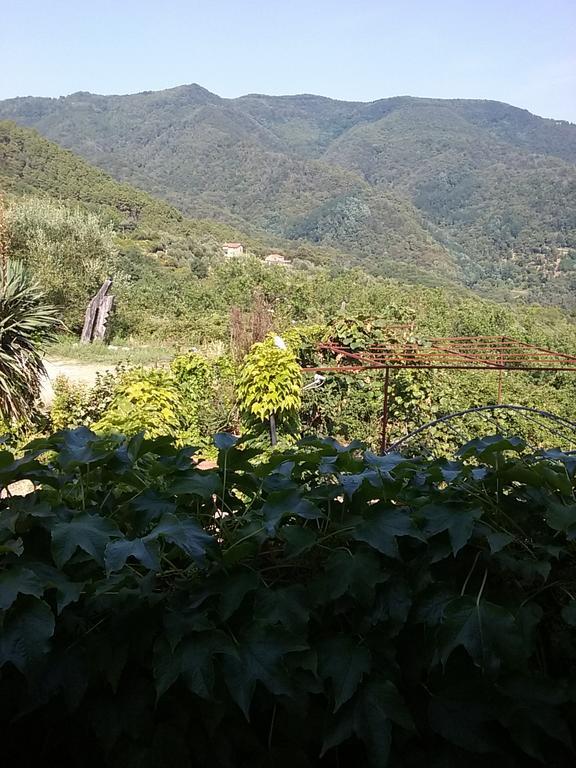 Casa Virgilio Panzió Fosdinovo Kültér fotó